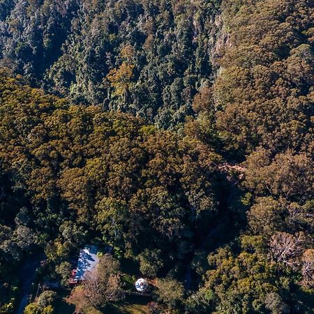 Purling Brook Falls Gwongorella Hotel Springbrook Exterior foto