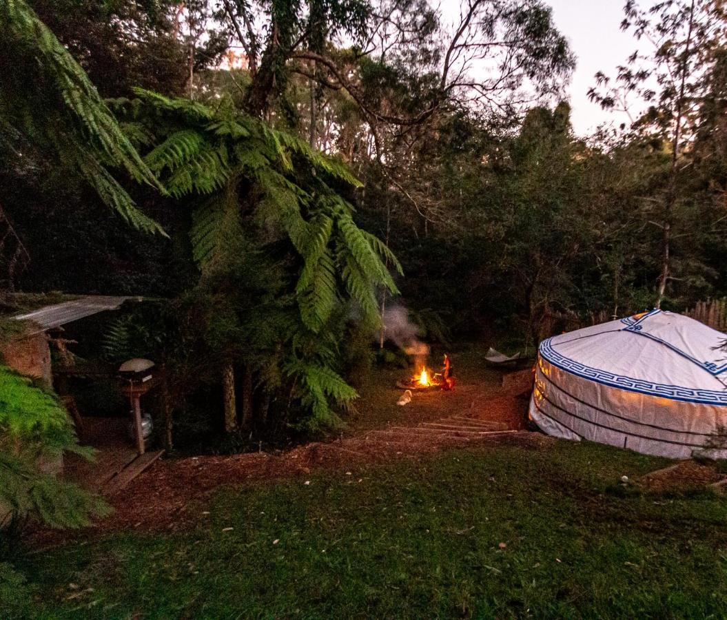 Purling Brook Falls Gwongorella Hotel Springbrook Exterior foto