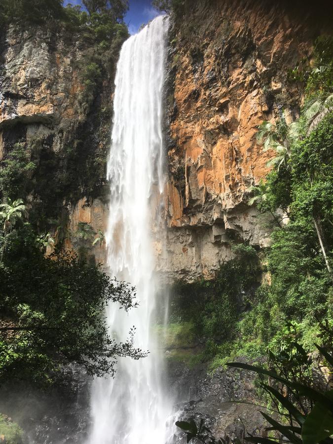 Purling Brook Falls Gwongorella Hotel Springbrook Exterior foto